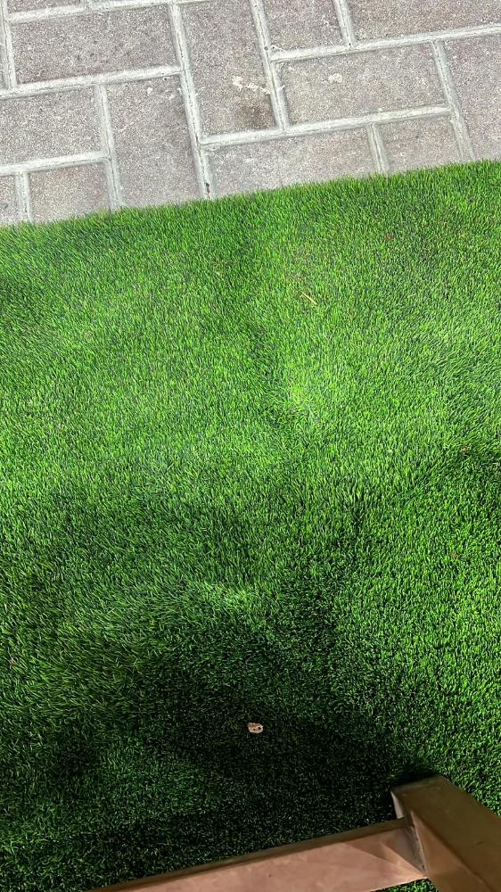 artificial grass carpet - 6