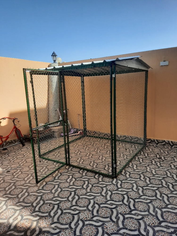 جوباس - 1