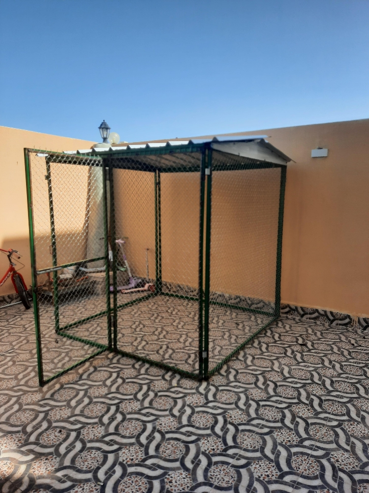 جوباس - 2