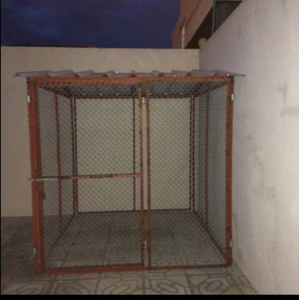 جوباس2/2 - 1