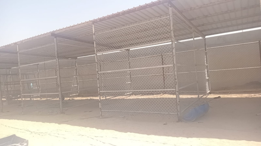 شبرا - 3