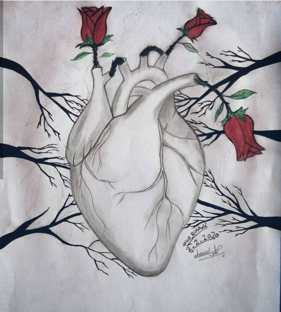 drawing - 6