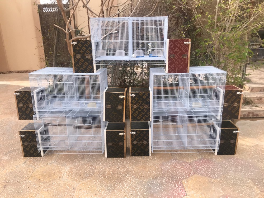 للبيع اقفاص للانتاج الطيور  - 3