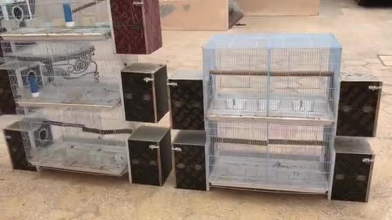 للبيع اقفاص للانتاج الطيور  - 1