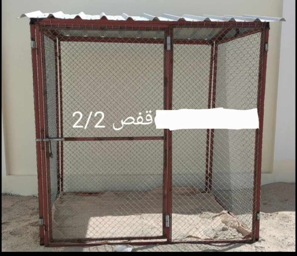 سيجاس2/2 - 2
