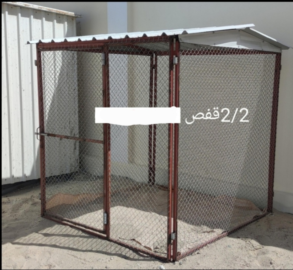 سيجاس2/2 - 1