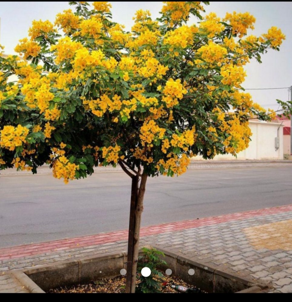 ملك الاندسكيب. - 3