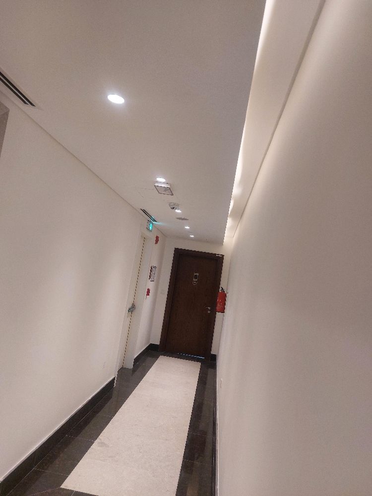 صبغ وديكورات - 6