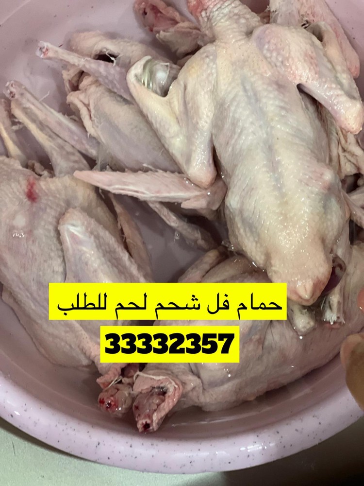 حمام لاحم فرشششش طازج - 2