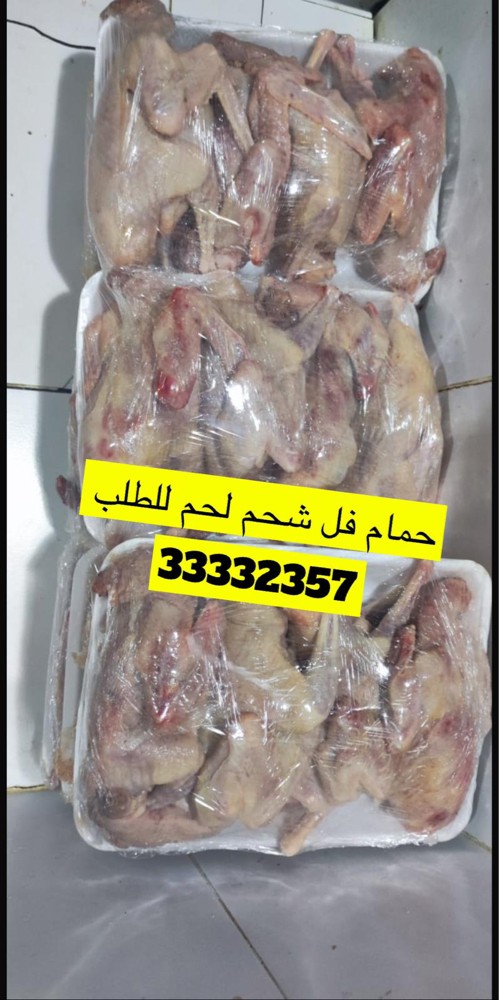 حمام لاحم فل فل شحم لحم  - 2