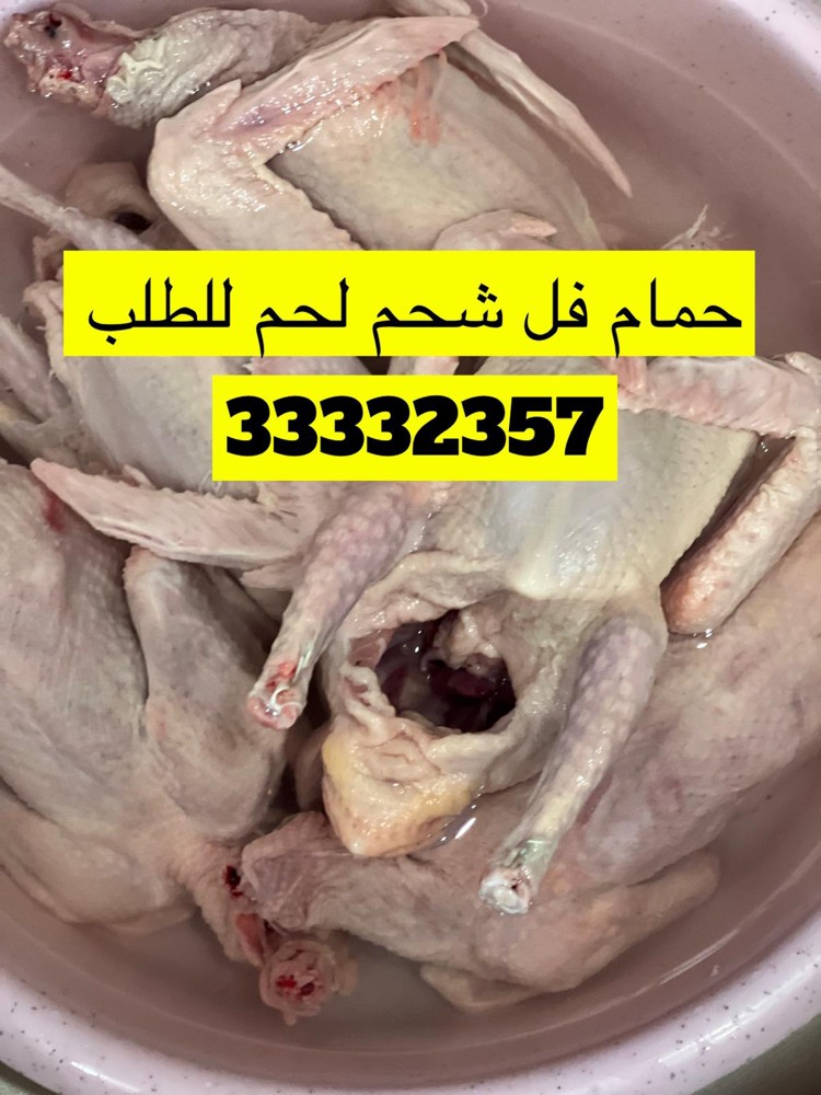 حمام لاحم ششششحم فرشش - 2