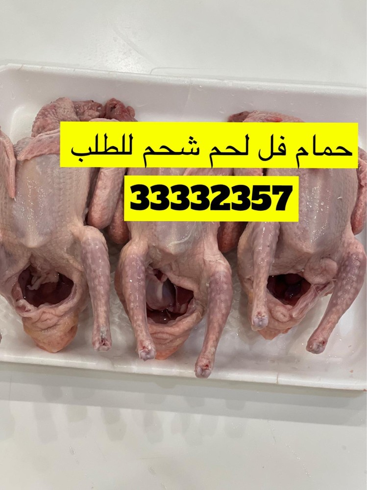 حمام لاحم ششششحم فرشش - 3