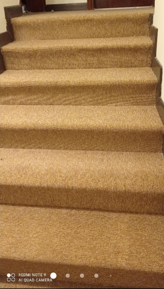 new design carpet fixing service - 4