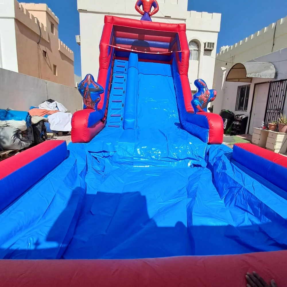 نطاطيات نايس بيرد - 1