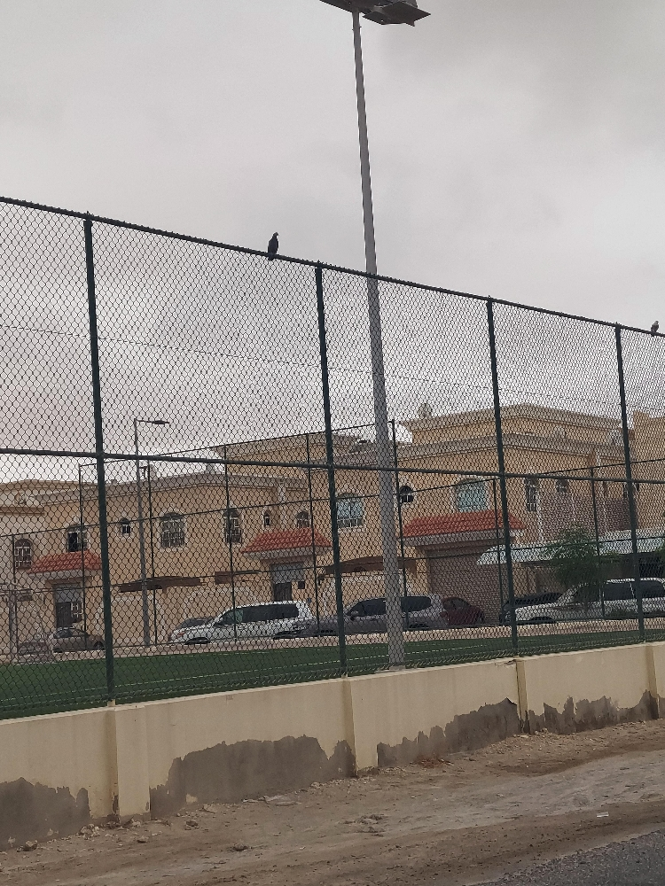 All kinds of Steel & Fences Works - 8