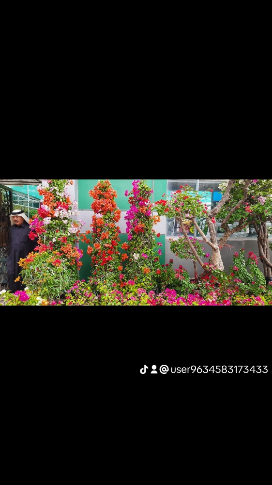 زراعه الورود - 2