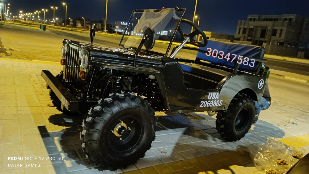 mini jeep - 3