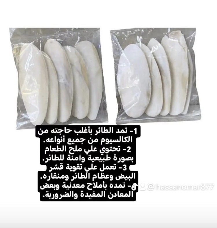 ظهر خثاق او حبار - 5