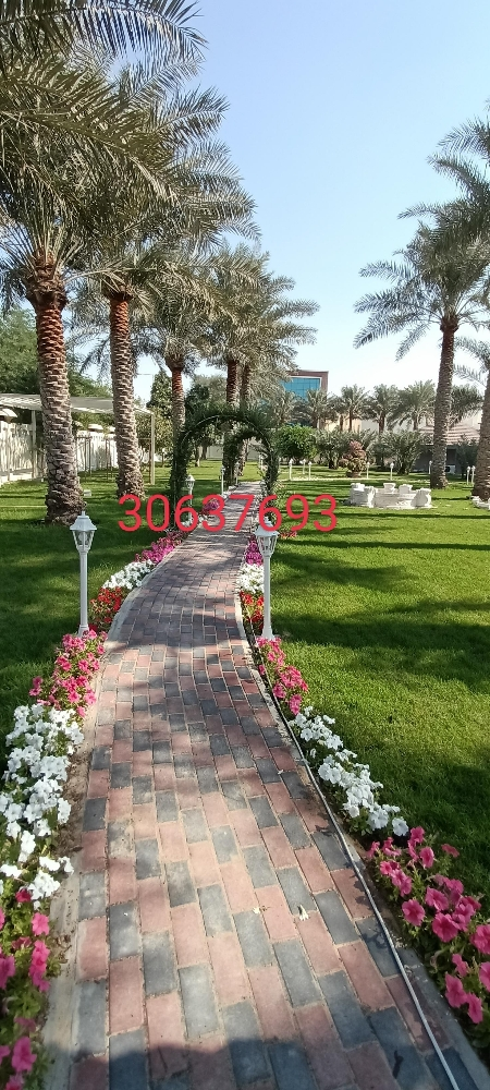 تنسيق الحدائق - 7