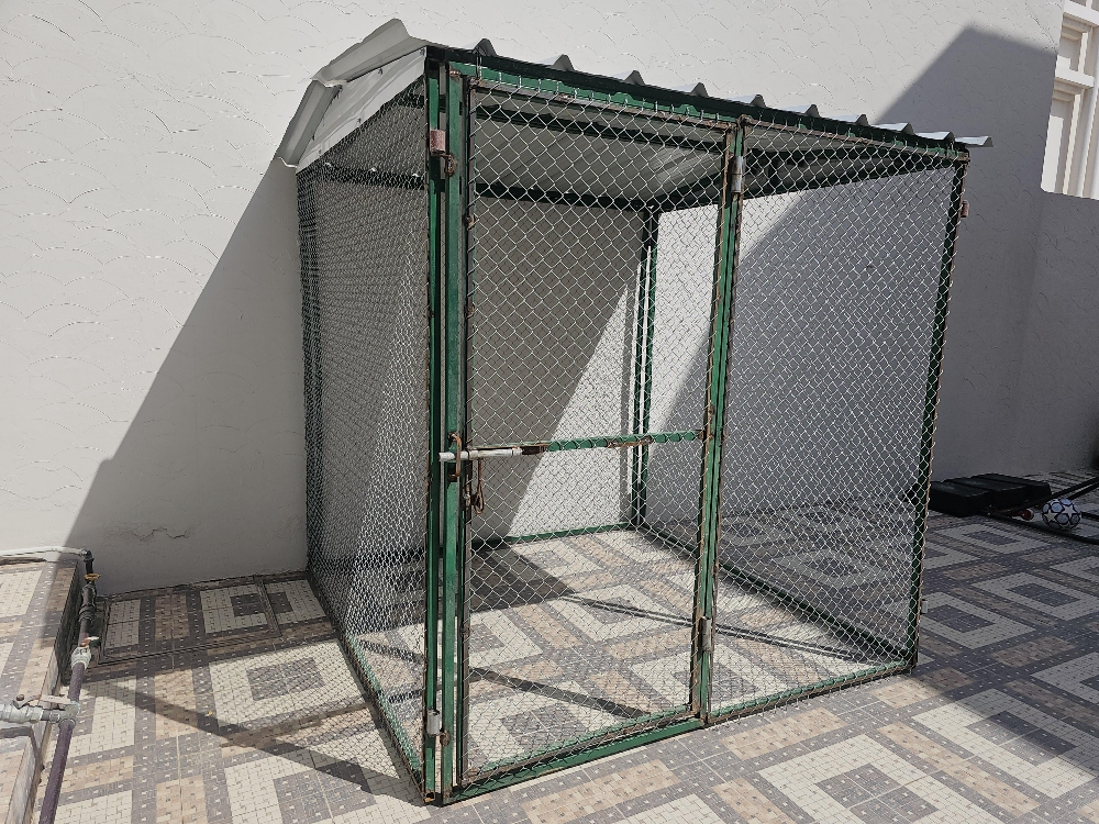 Pigeon and chicken coop - 4