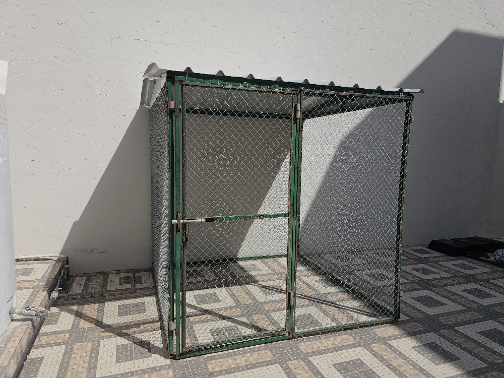 Pigeon and chicken coop - 3