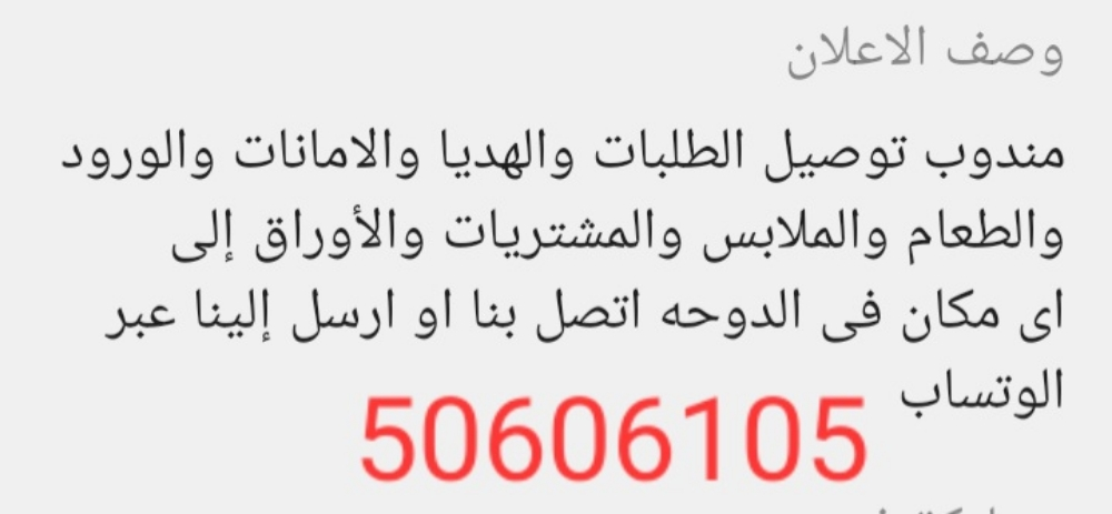 سائق مصرى للتوصيل - 1