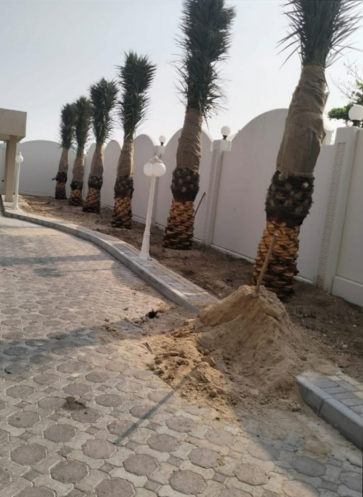 زراعة حدائق - 2