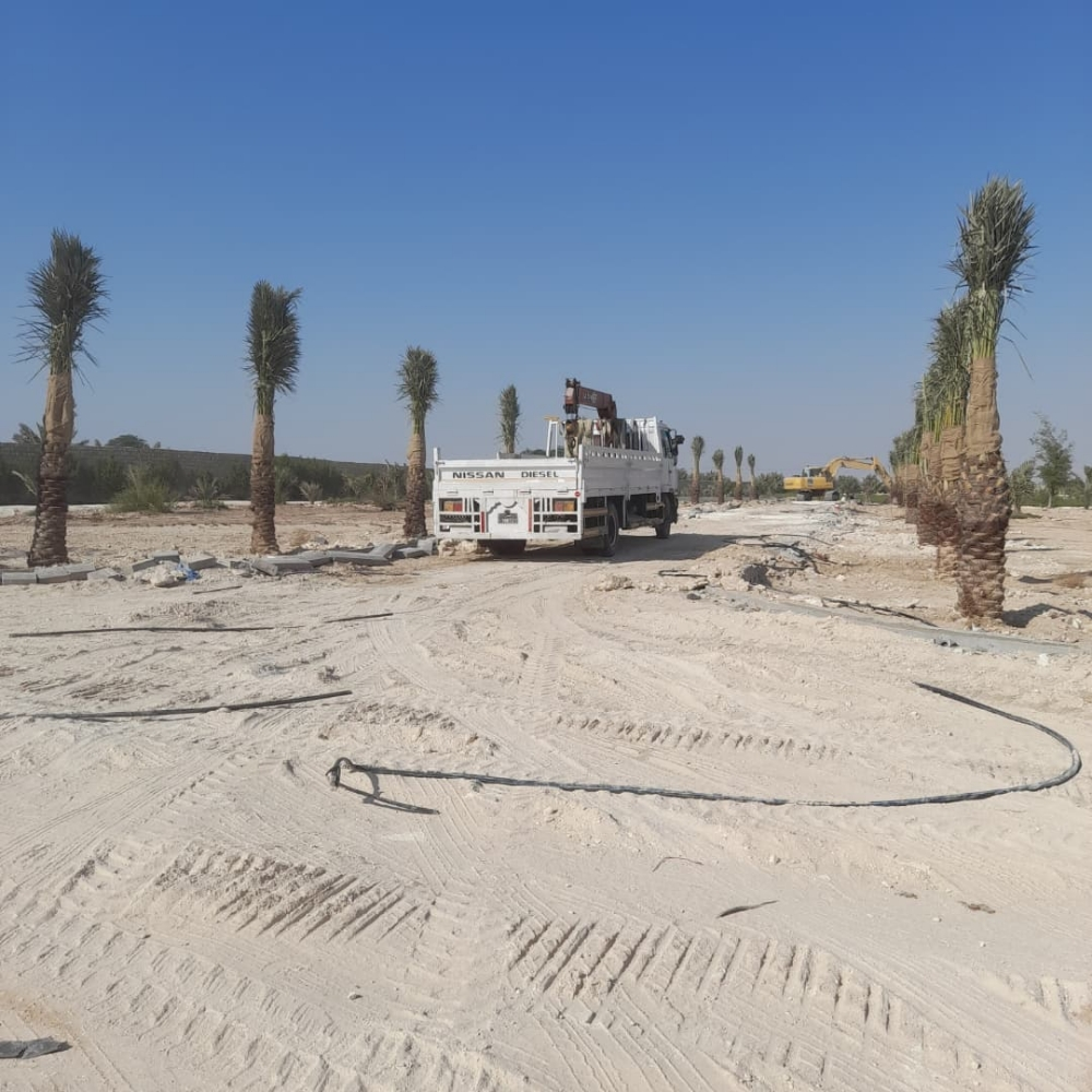 زراعة حدائق - 8