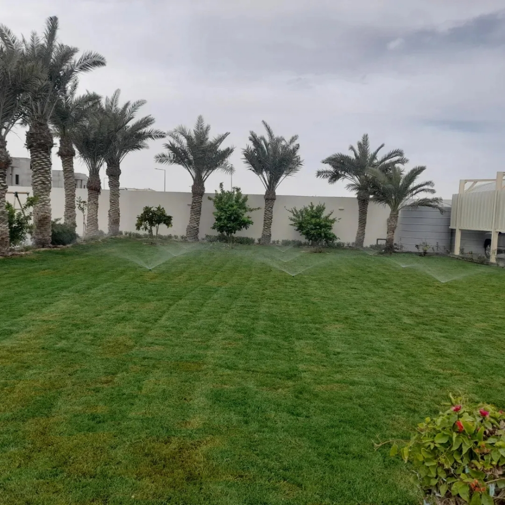 زراعة حدائق - 5