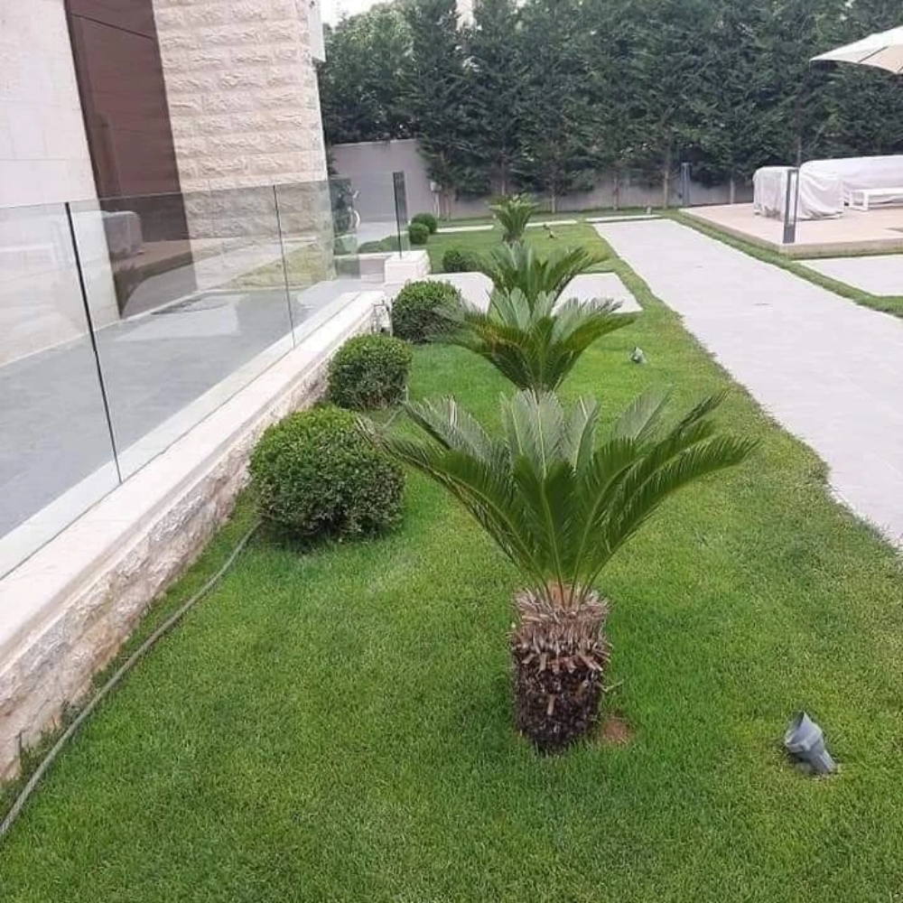 زراعة حدائق - 1