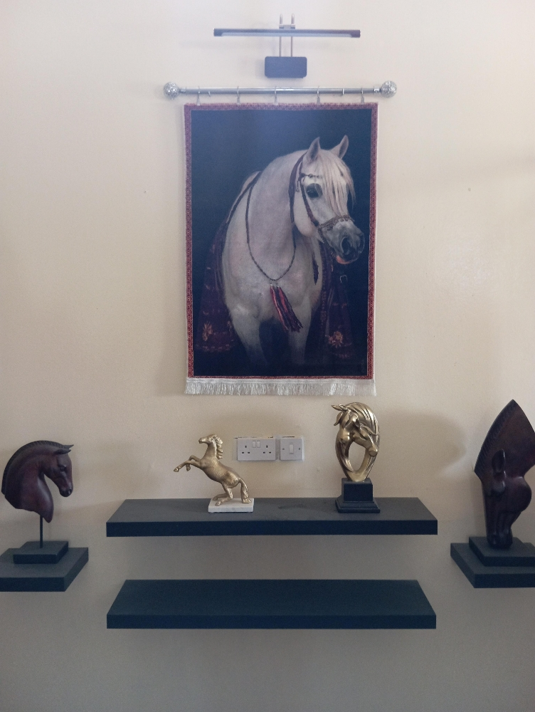 هواه ومحبى تربيه الخيل - 4