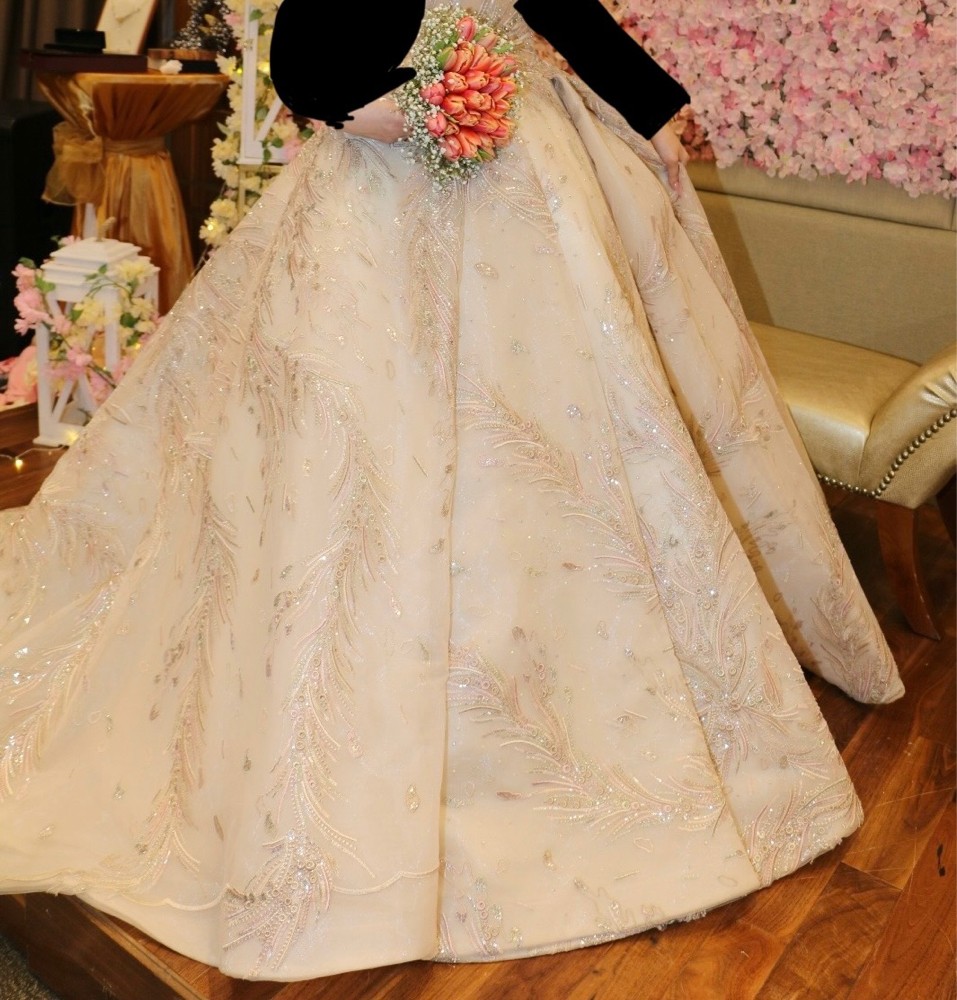 engagement gown - 2