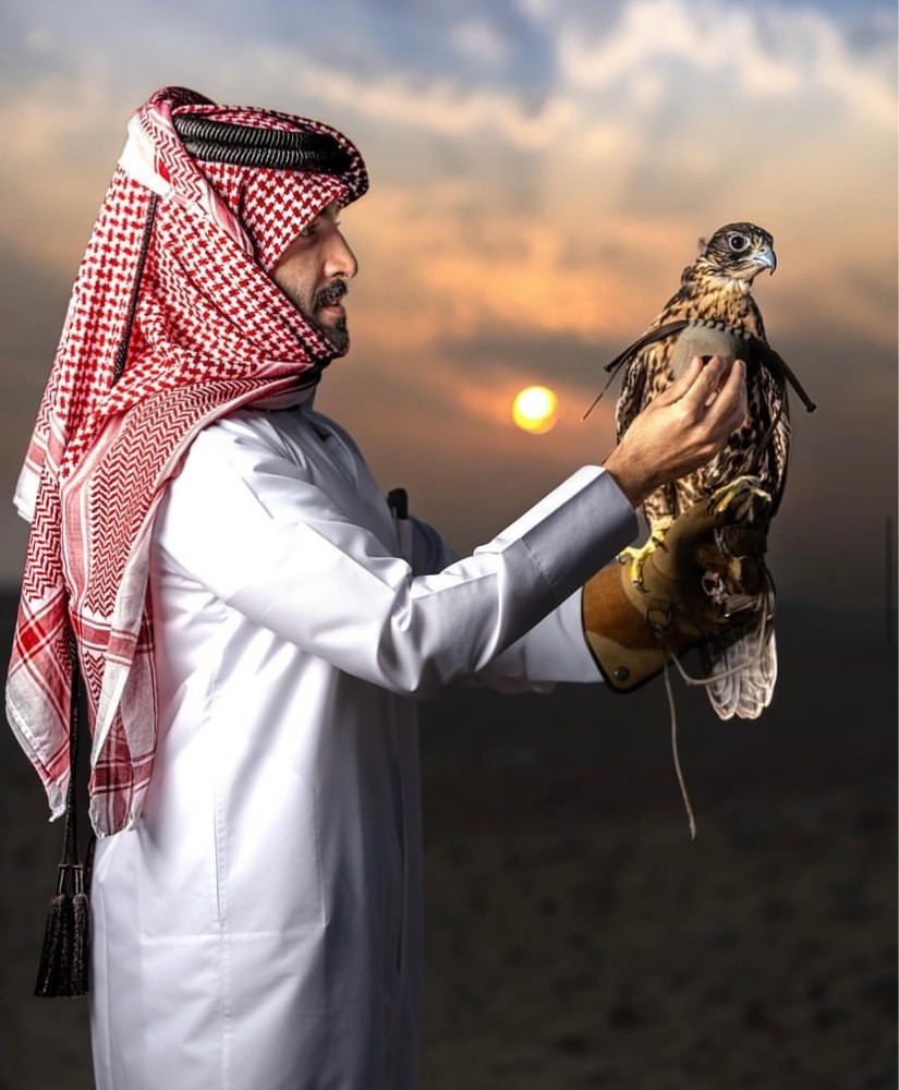 مصور - 6