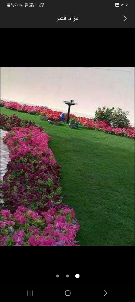 زراعة وتنسيق الحدائق وزراعتها - 1