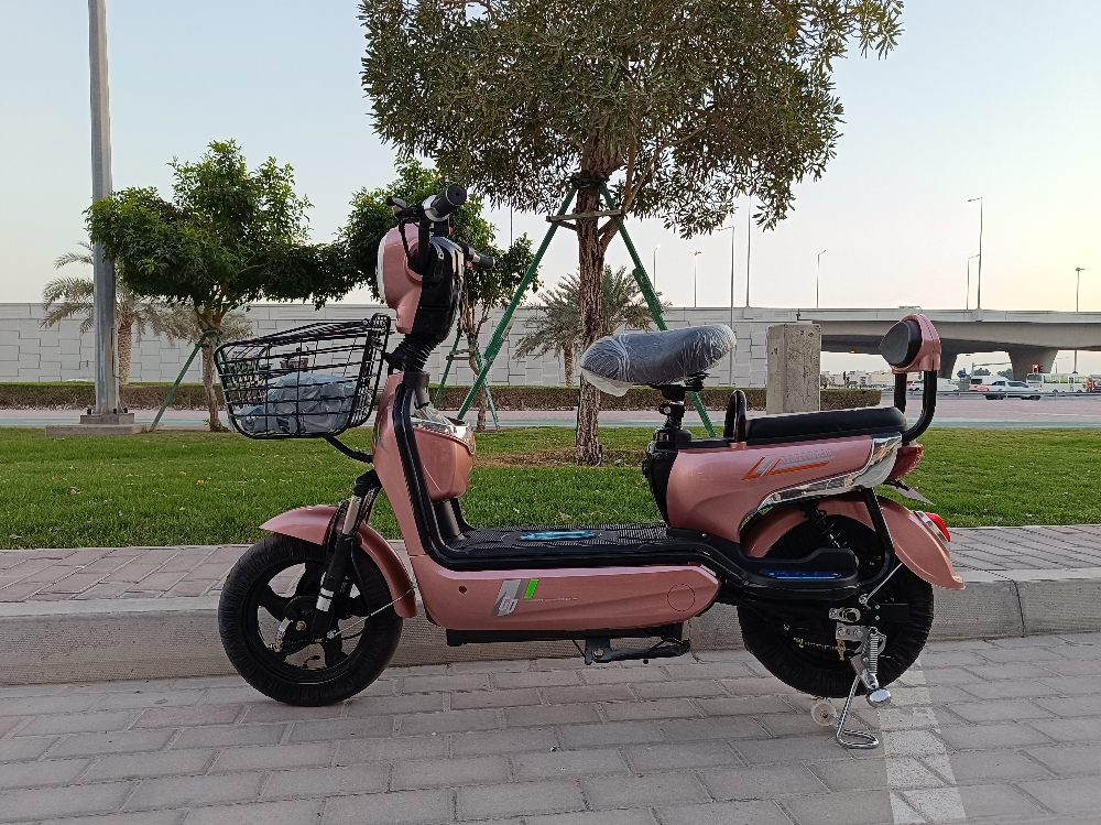 electric motorcycle - 1