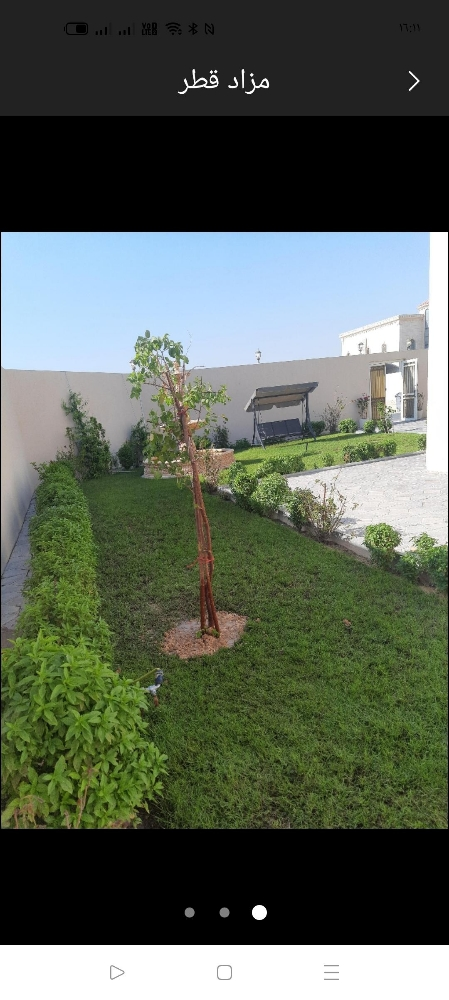 صيانه الحديقه وتربيتها - 1