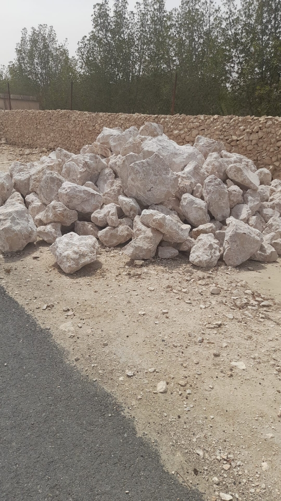 backfilling - 7