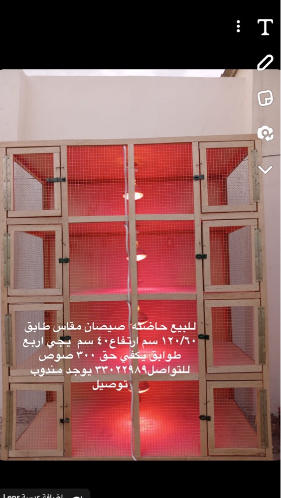 Chicken incubators for sale - 1