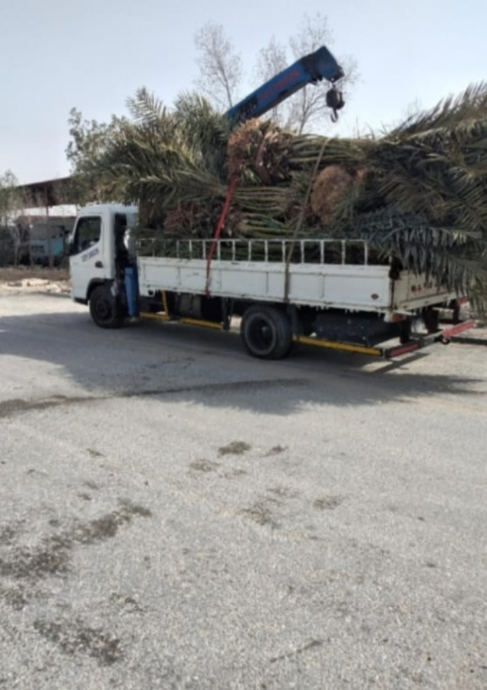 كرين 10 طن 3طن 7 طن نقل الغرف وال - 2
