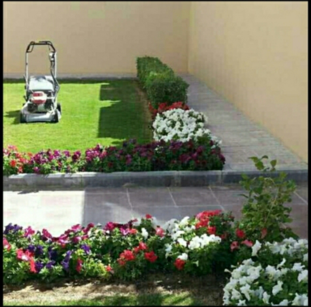 جز الحشيش - 1