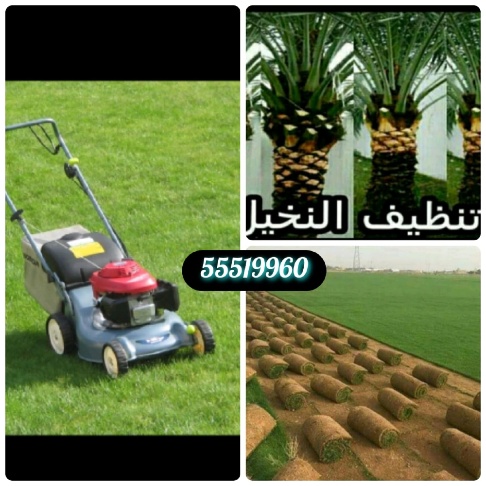 ترتيب وتنظيف الحدائق - 1