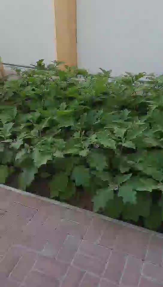 مزارع - 1