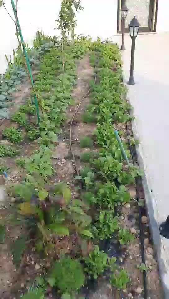 مزارع - 1