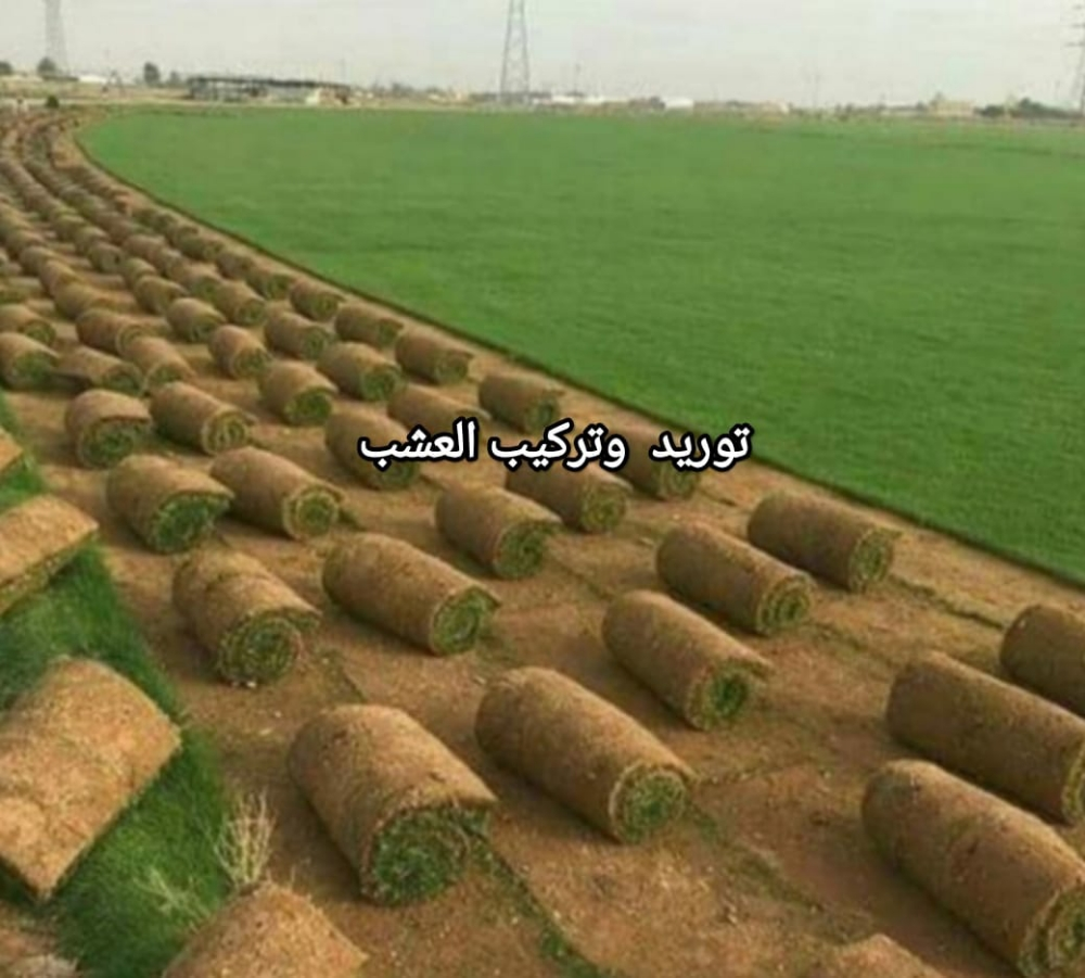عشب طبيعي وصناعى للبيع - 1