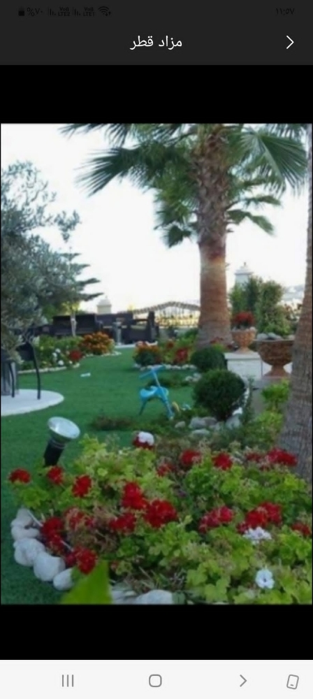 زراعة وتنسيق الحدائق - 1