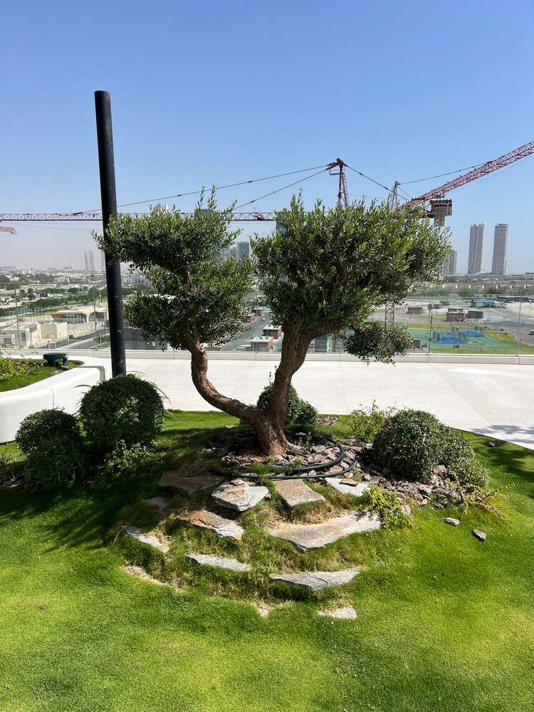 زراعه حدايق  - 3