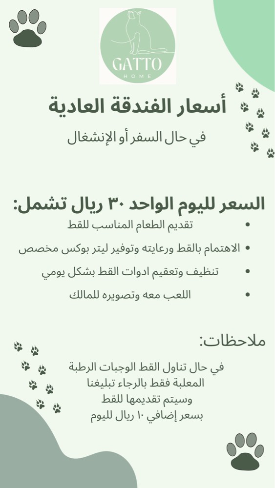 نستقبل جميع أنواع القطط المنزلية  - 2
