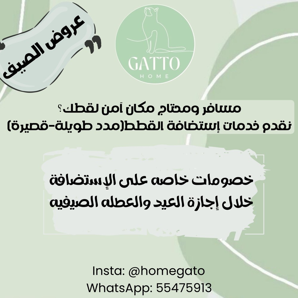 نستقبل جميع أنواع القطط المنزلية  - 1