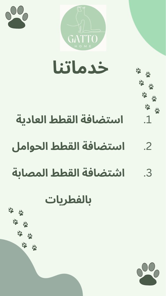 نستقبل جميع أنواع القطط المنزلية  - 4