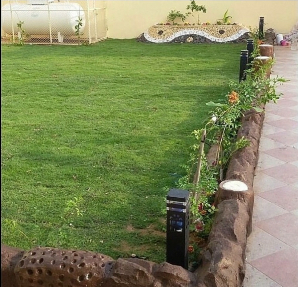 زراعه جميع انواع العشب الطبيعى٠٠ - 5